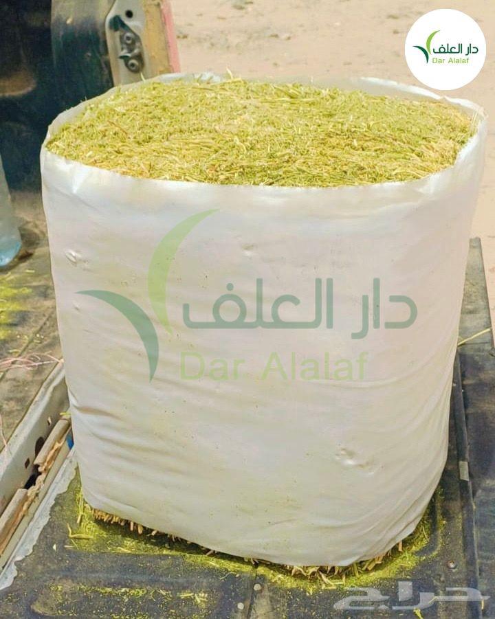 الراعي برسيم المصري مستورد64395923517313113