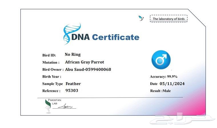 Kasco Bird64401133274626111