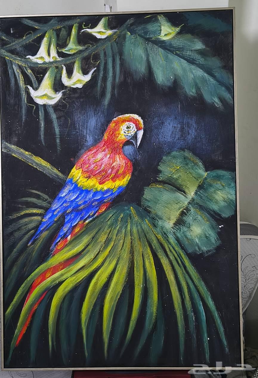 تصميم الجدران جديد بالكامل وطازج64396034354945110