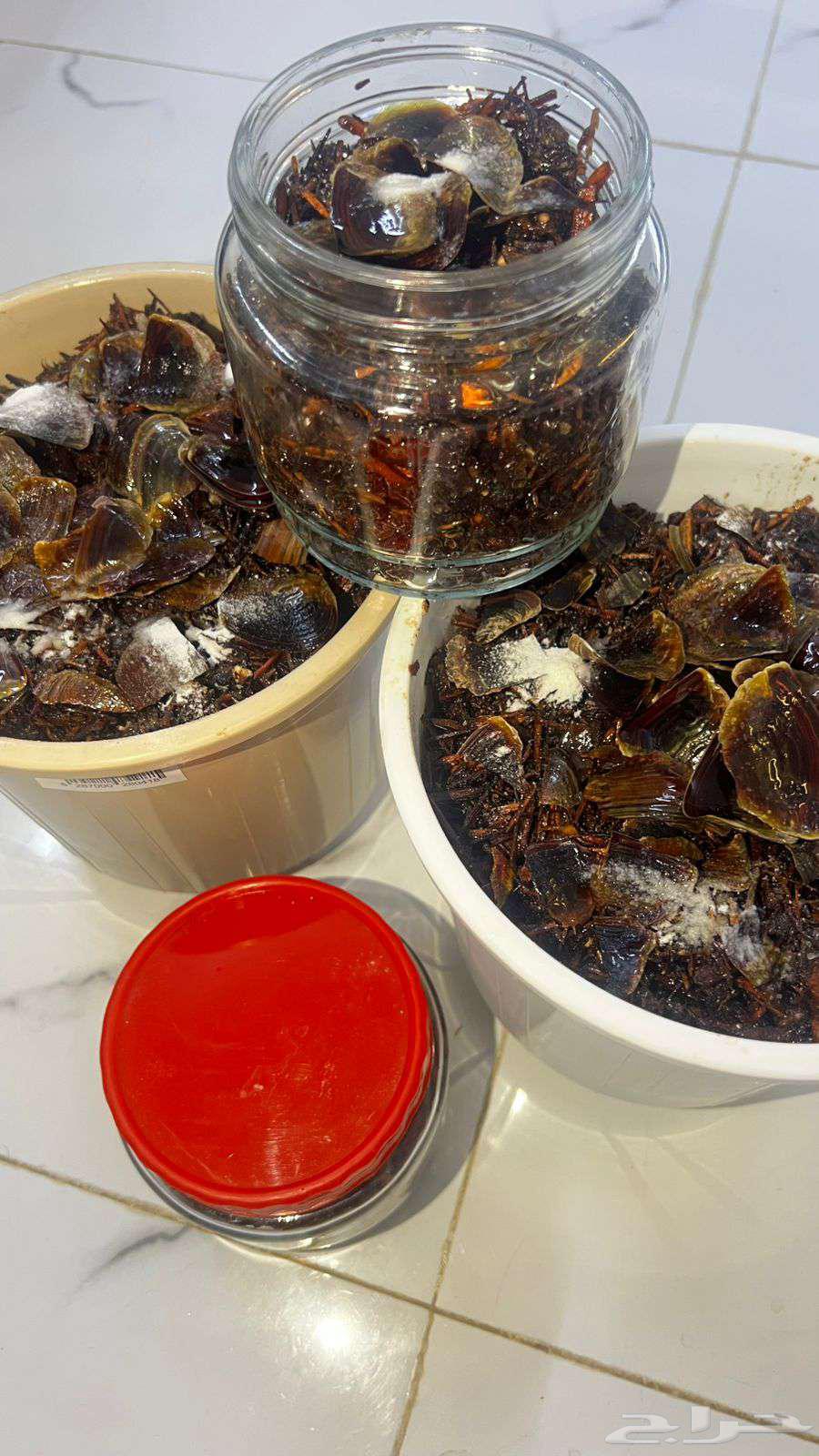 بخور الاصالة64392882642178114