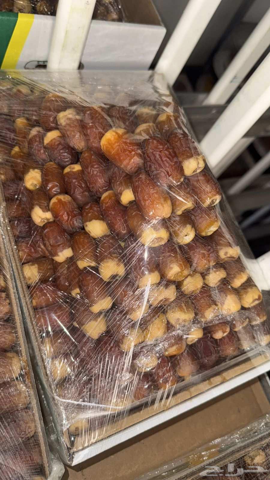 Date palms for sale, fruitful Qassim date palms, reasonable prices64396185002371113