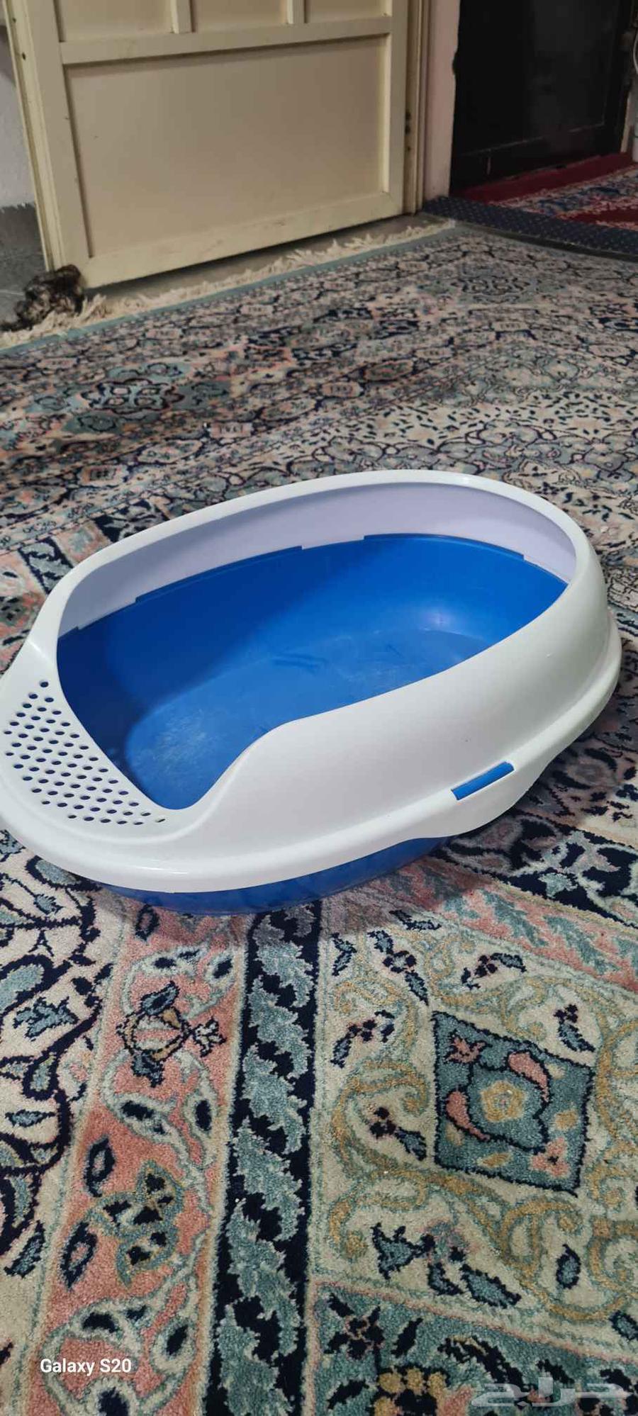 بوكس قطط و صندوق و أغراض للقطط64397492408450113