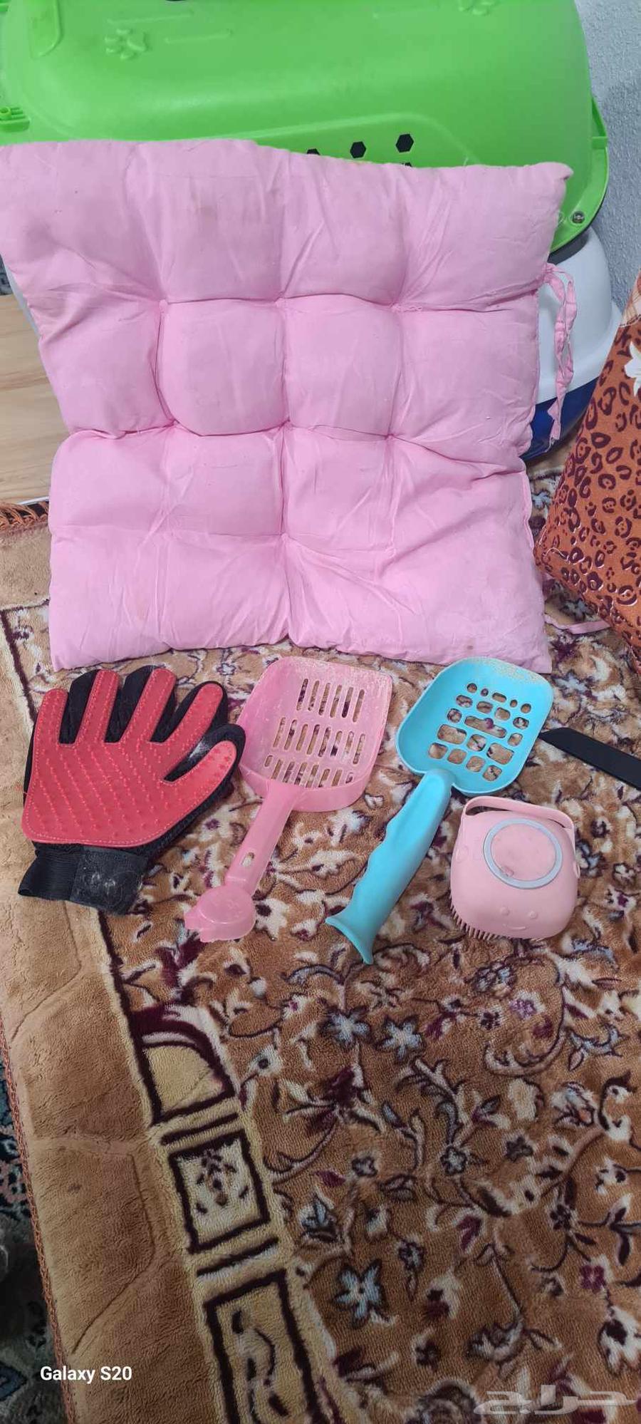 بوكس قطط و صندوق و أغراض للقطط64397492408450112