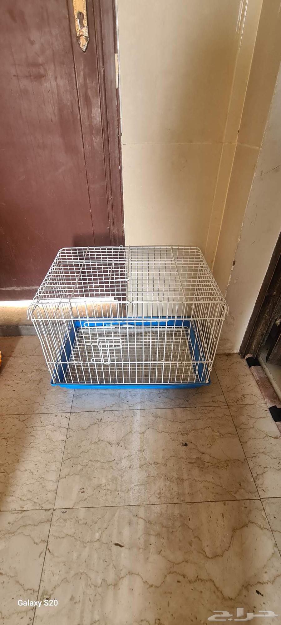 بوكس قطط و صندوق و أغراض للقطط64397492408450110