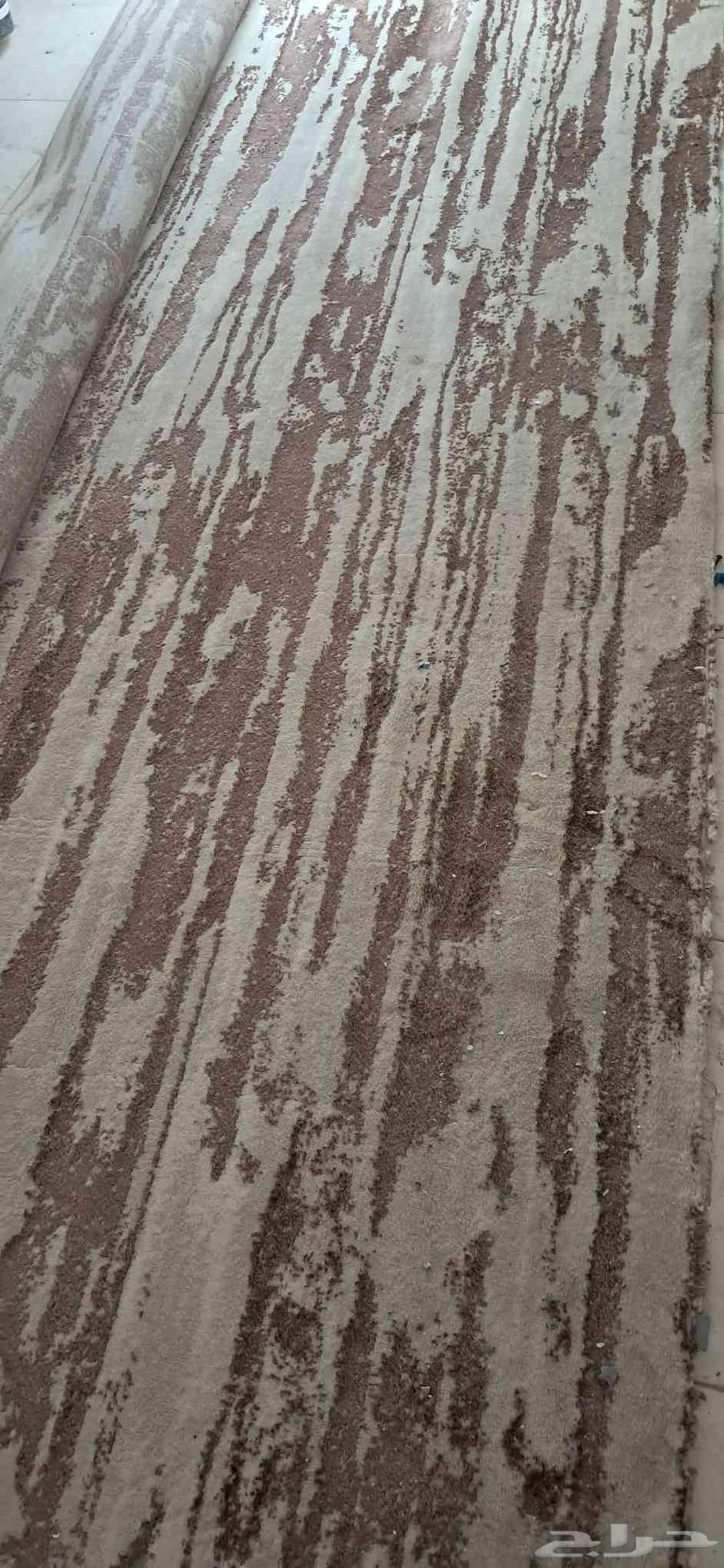 Clean carpets64397755819651110