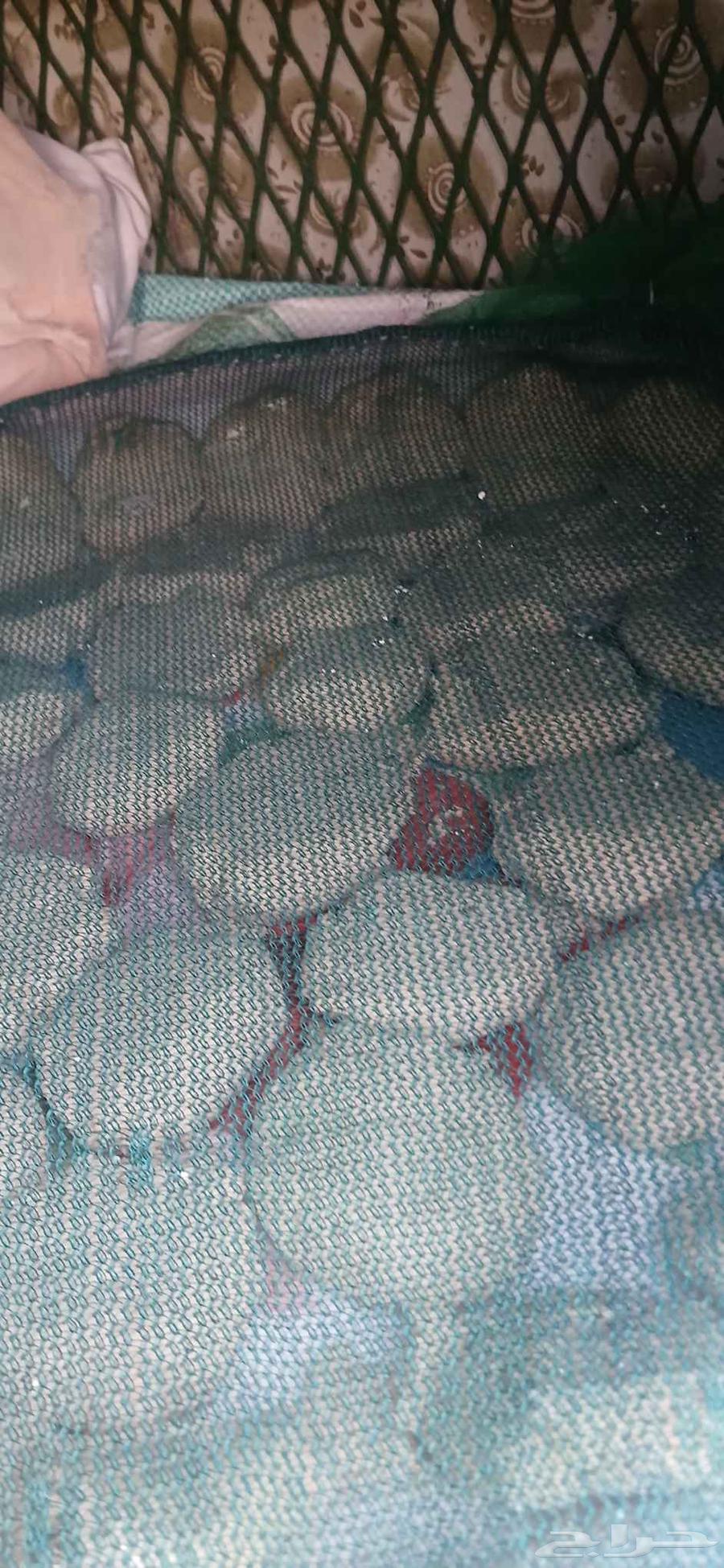 مظير او اقط او نقسان64376244701058110