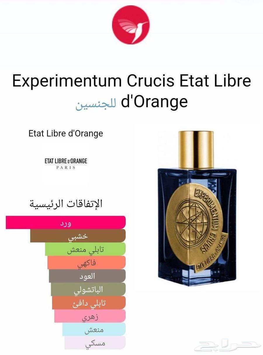 Experment Perfume with New Explosive Performance64393596523137111