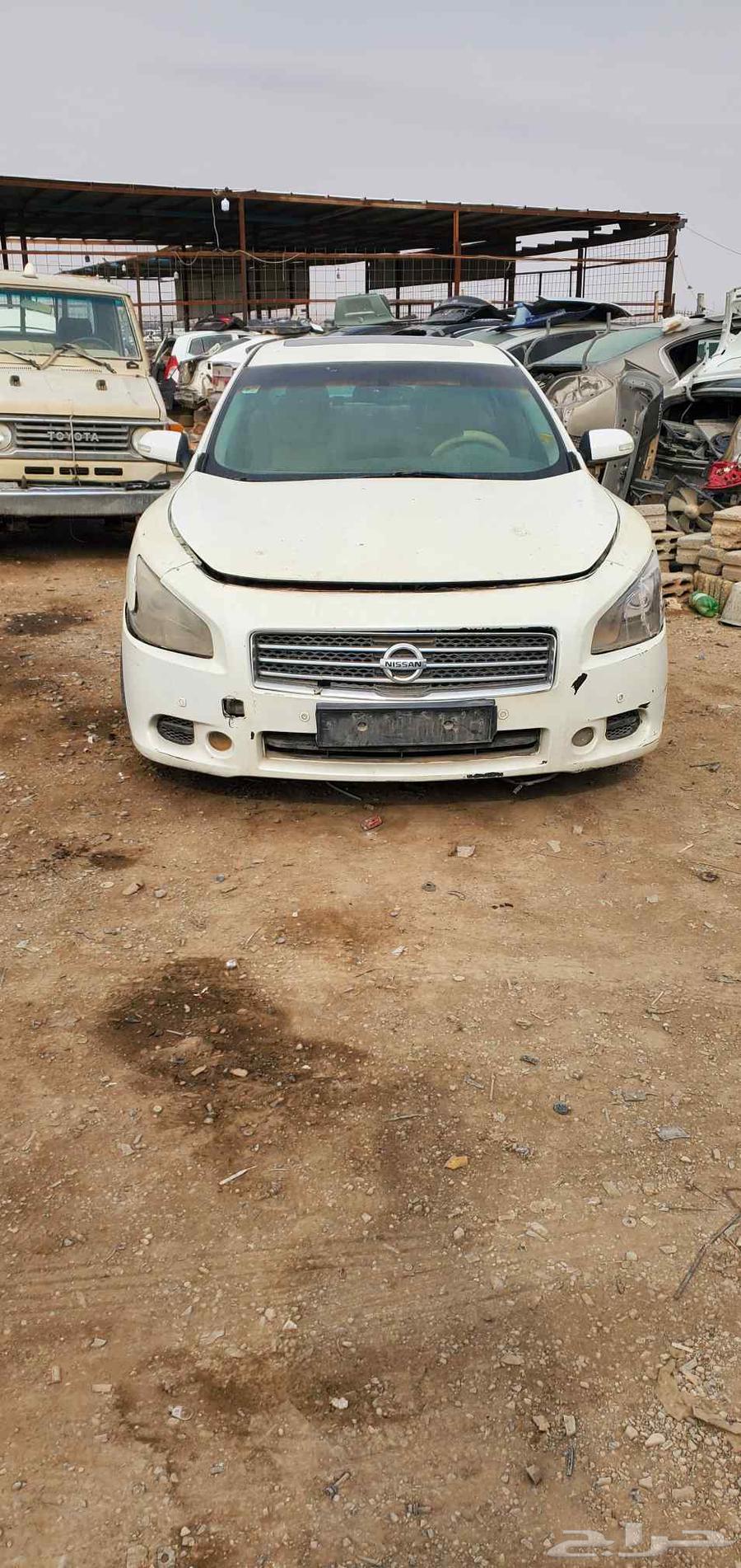 Nissan Maxima 2010 Scrap64546206506115113