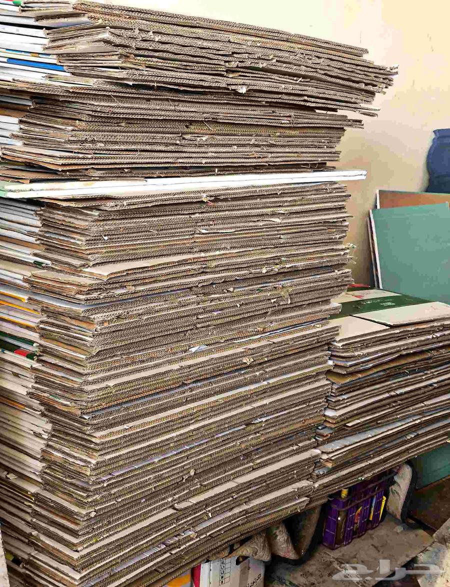 Empty egg cartons for sale in Jeddah AlRuhaylah63921146599170113
