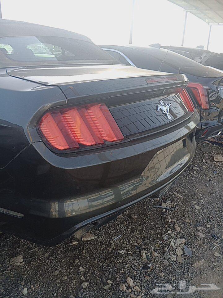 مندوب تشليح الحاير ابو عبدالرحمن64188515273475112