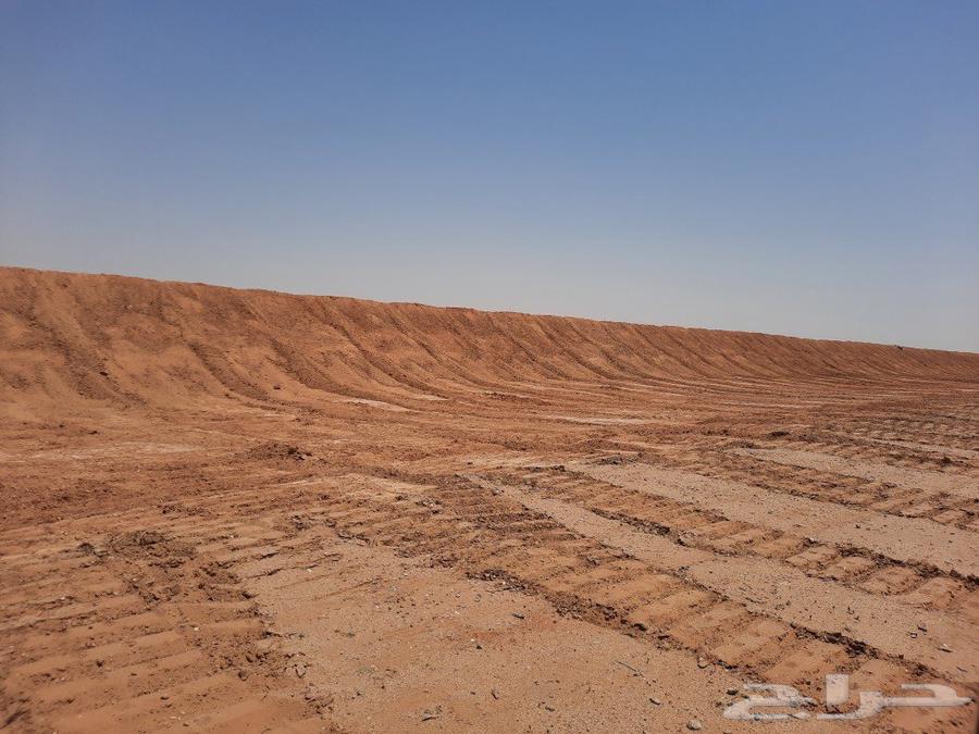 بلدوزر للايجار تعقيم وتسويه المزارع64206918499331113