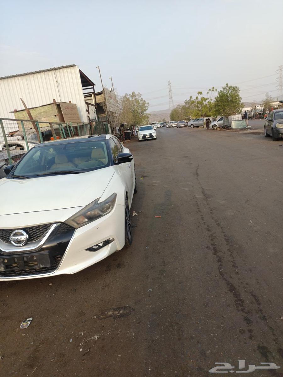 نيسان مكسيما موديل 201964221863686531110