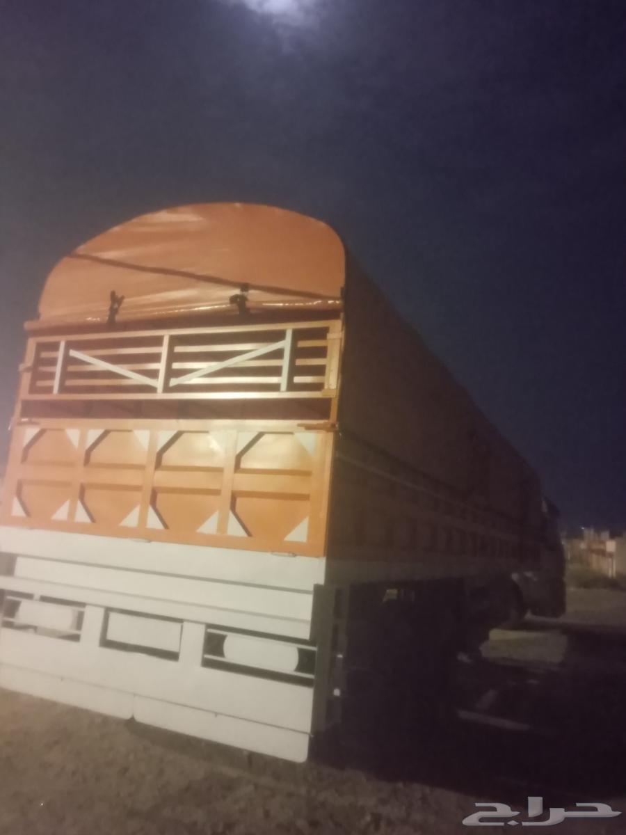 تيدر جوانب قاعده 1264229250833539112