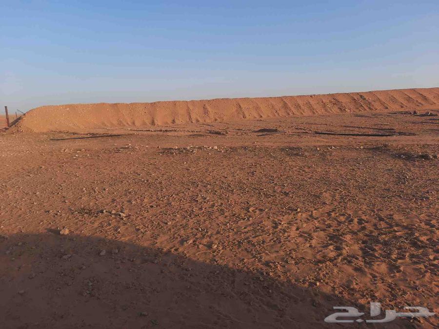 بلدوزر للايجار تعقيم وتسويه المزارع64206918499331110