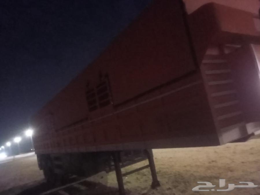 تيدر جوانب قاعده 1264229250833539114