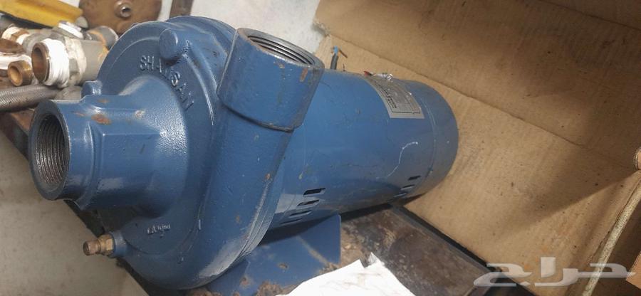 Shamsan Dynamo64209051677825112