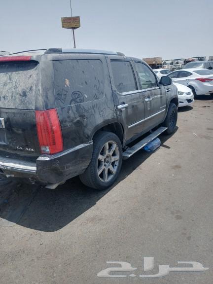 Jim's Asakalid64206697258369111