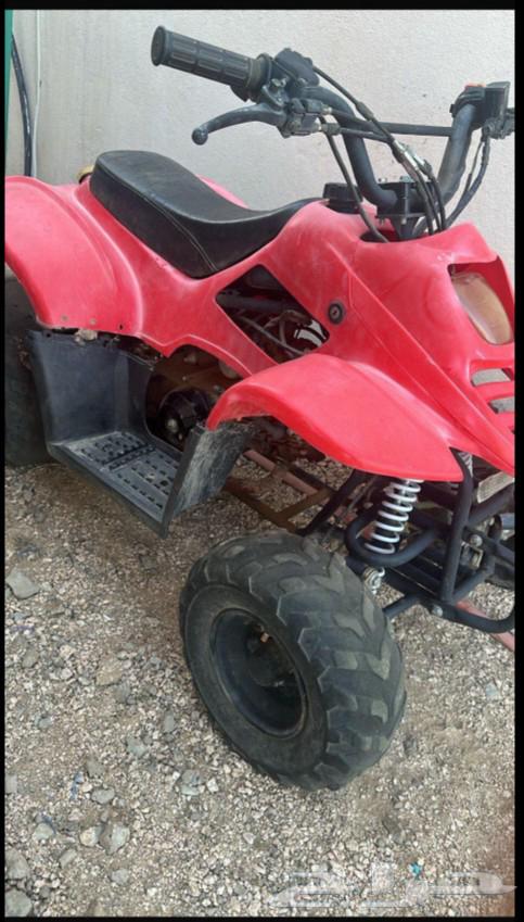 دباب شغال شرط للبيع64228894030595110