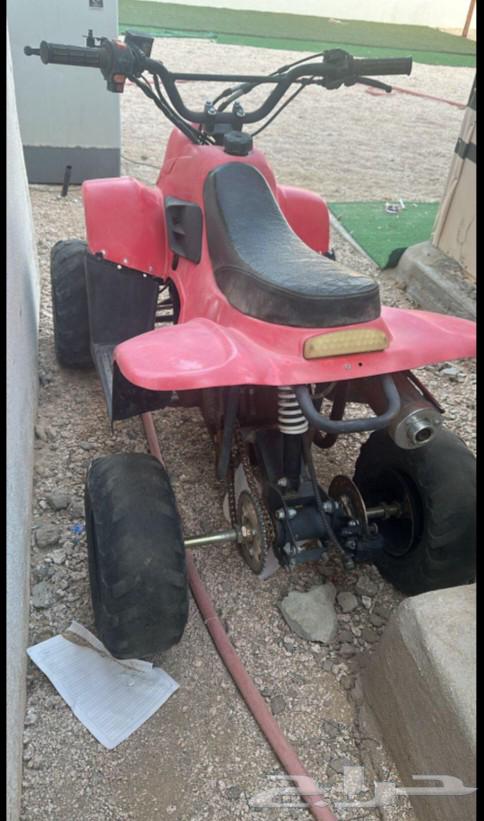 دباب شغال شرط للبيع64228894030595111