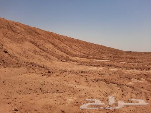 بلدوزر للايجار تعقيم وتسويه المزارع64206918499331114