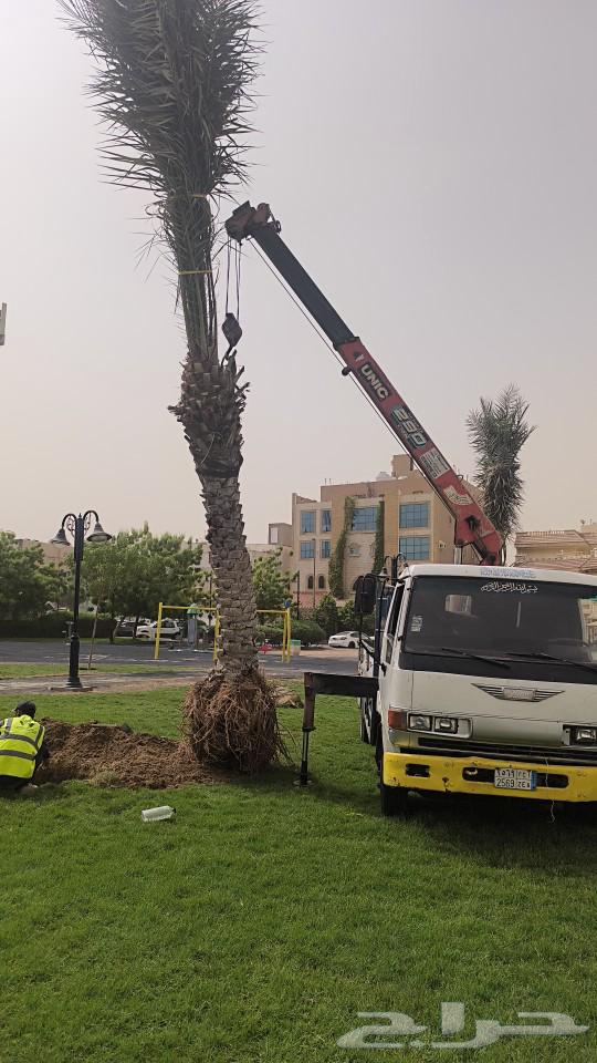 ونش  رين سط  للايجار جد  داحلي شغل يوميا و مشاور64221659969793112