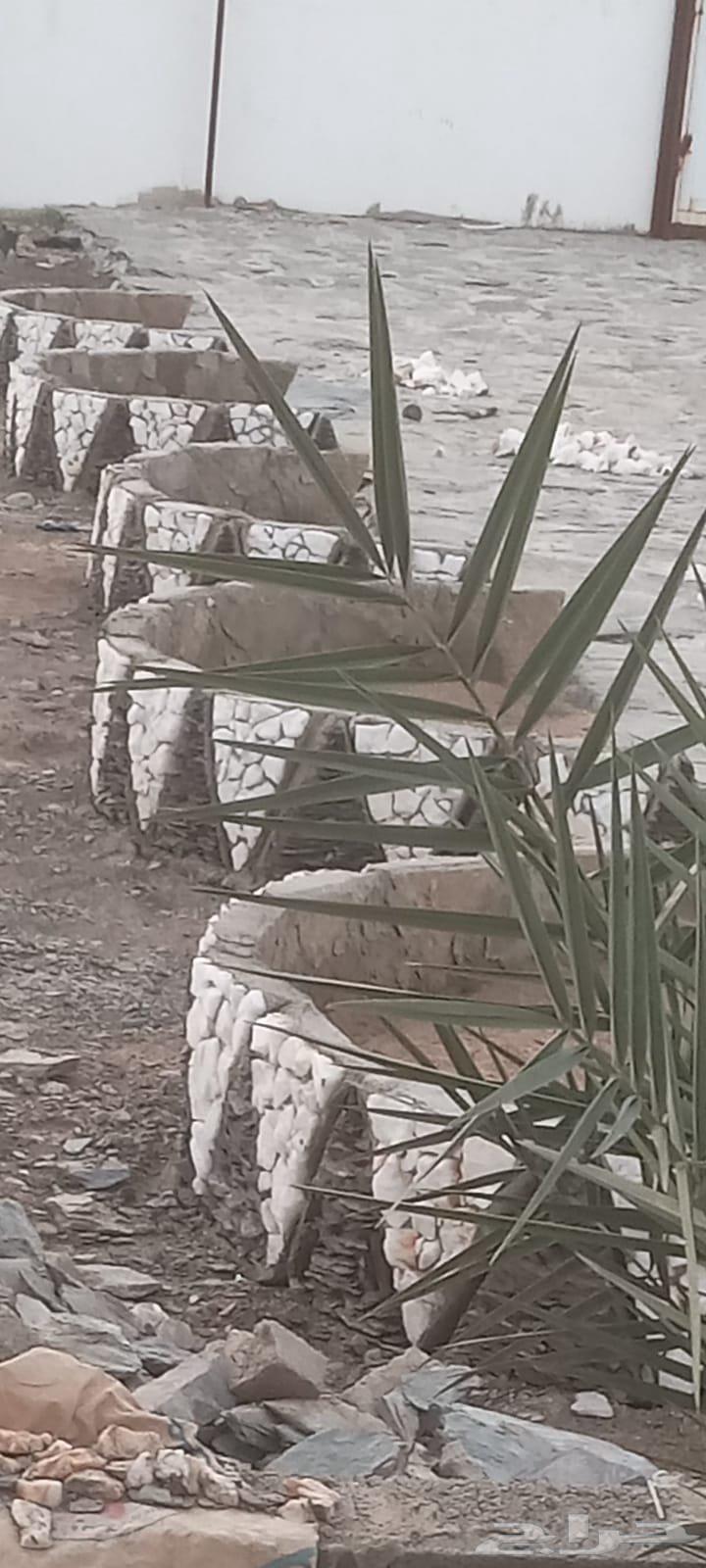 معلم حجر تلبيس بنيان نقشات تبليط حجر احواش64218539478019111