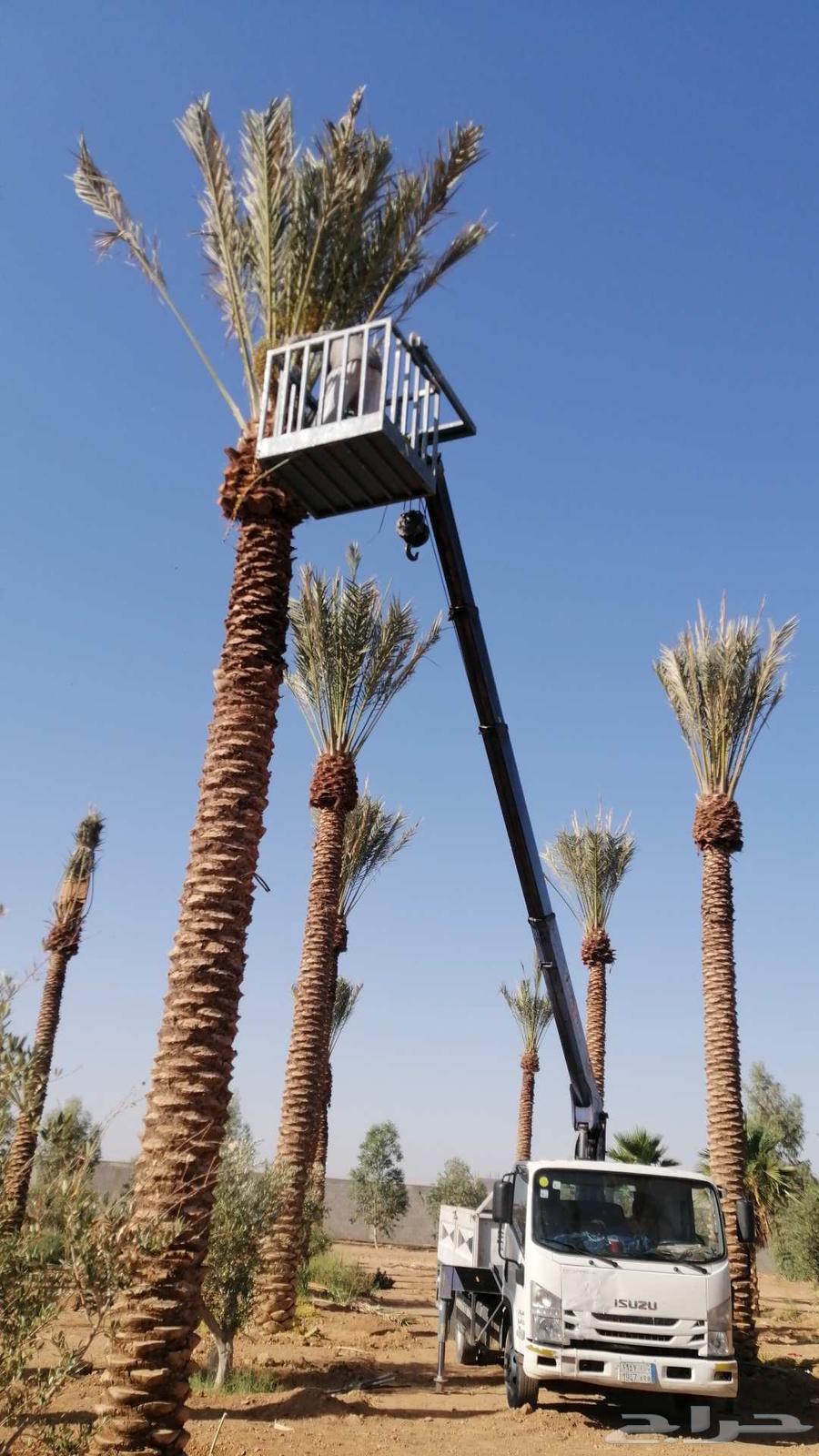 ونش أجار يومي وشهري64259772111617112