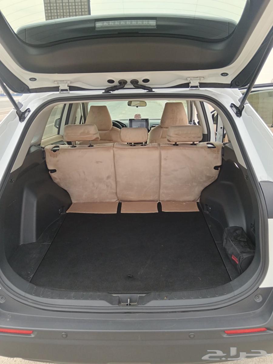 راف فور موديل 202464254555485569113