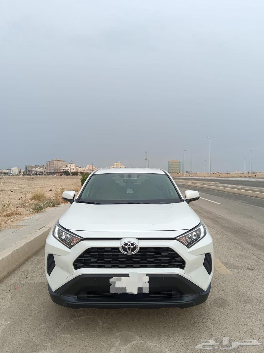 راف فور موديل 202464254555485569110