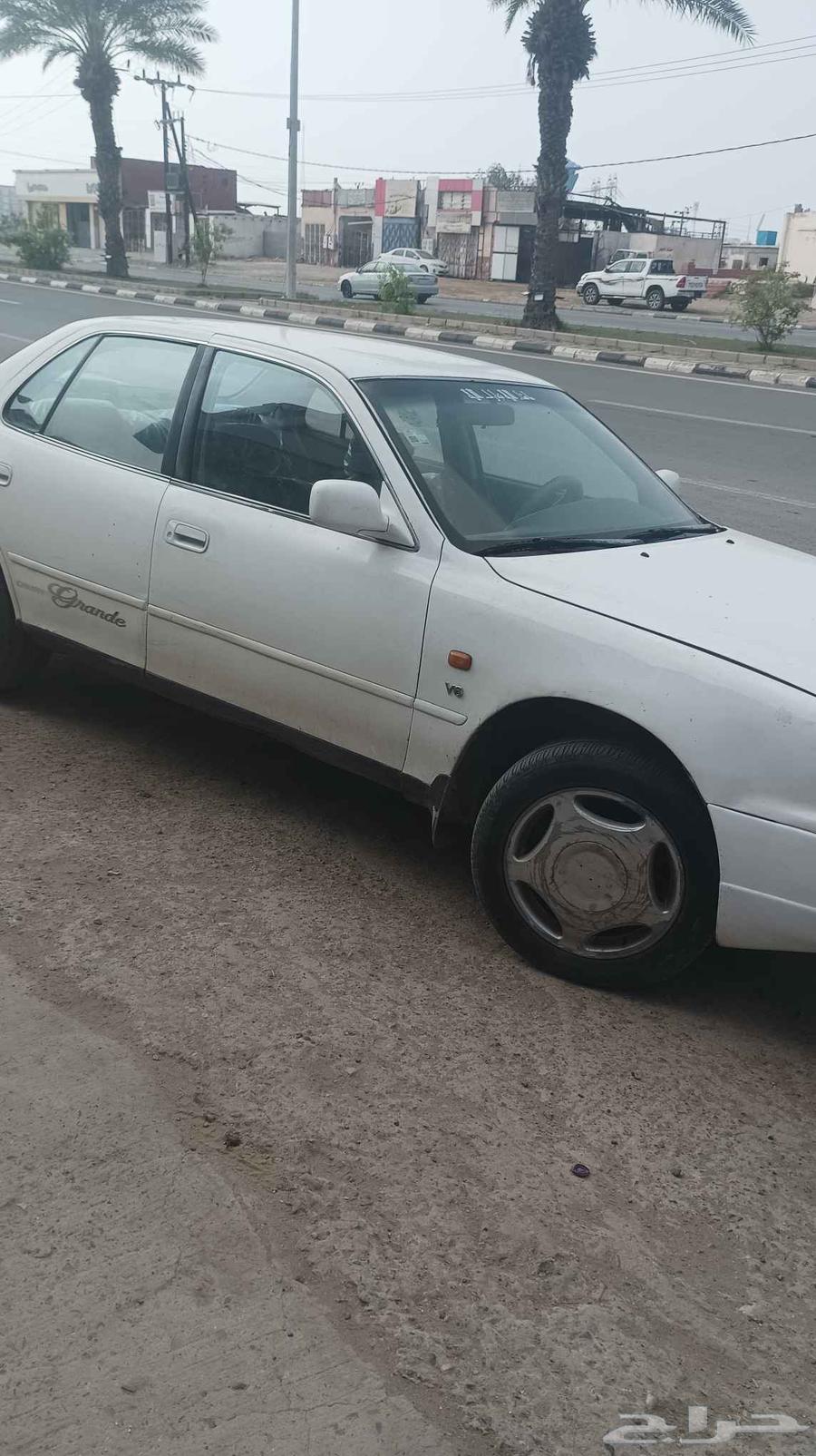 Saria's form examination64240834650755110