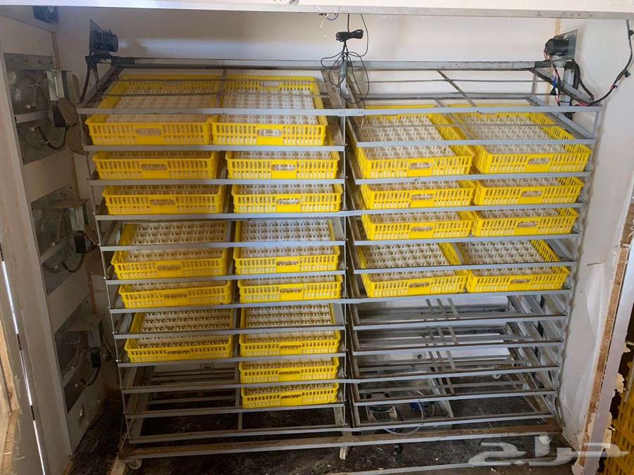 Semi-new incubator for sale, manufactured by Al-Azizia, specifications: full automatic63974783164162112