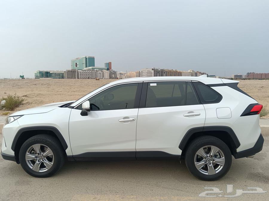 راف فور موديل 202464254555485569111