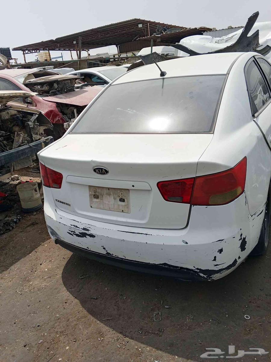 توفير هوانداي تايوتا امريكي صيني الماني64254712642177112