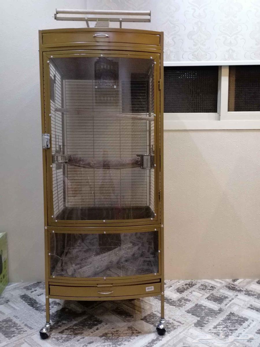 Parrot Cage63619066624001112