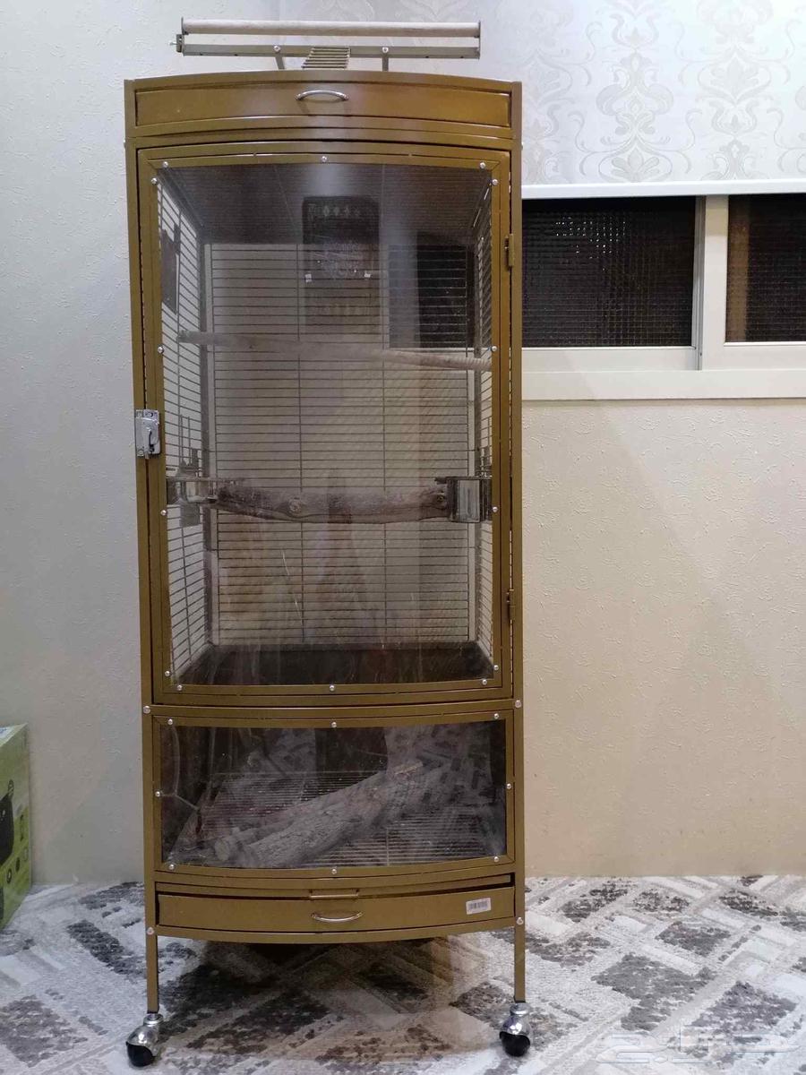 Parrot Cage63619066624001111