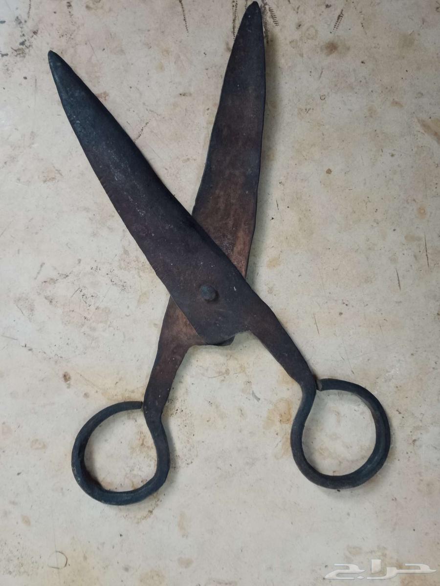 سلام عليكم يوجد الاعشاق النادر سبقن اسمه جلم حضرن اسمه مقص64233596469377110