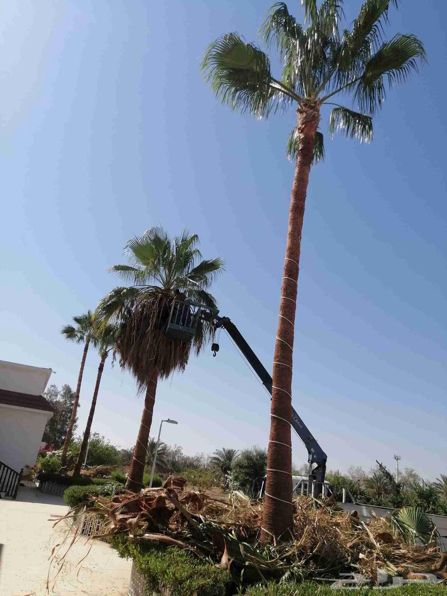 ونش أجار يومي وشهري64259772111617110