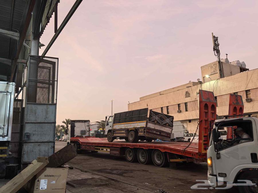 فاضي لوبد من الرياض السلي سوأق باكستاني64252271752578111