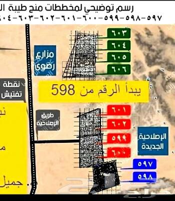 نشتري الاراضي في طيبة الفرعيه 589 _597_599_606_605_604_60364246099176961110