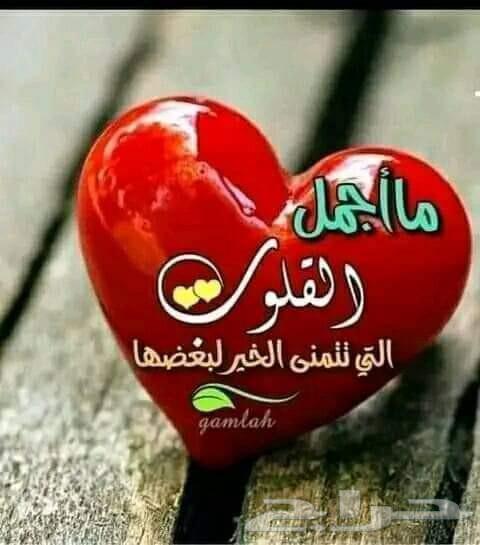 مطلوب سيارة   أبحث عن  نيسان صني أو هيونداي أكسنت (دبد64238657145347110