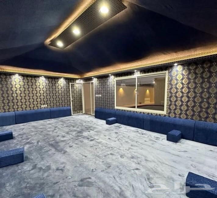 202564243654339843111