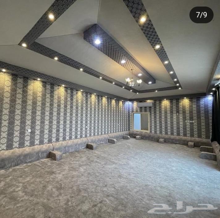 202564243654339843112