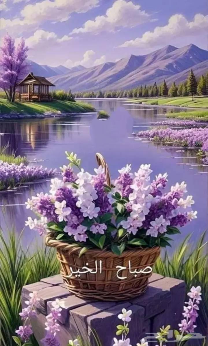 مطلوب تاهو نظيفه موديل 2007 او 200864230761095426110