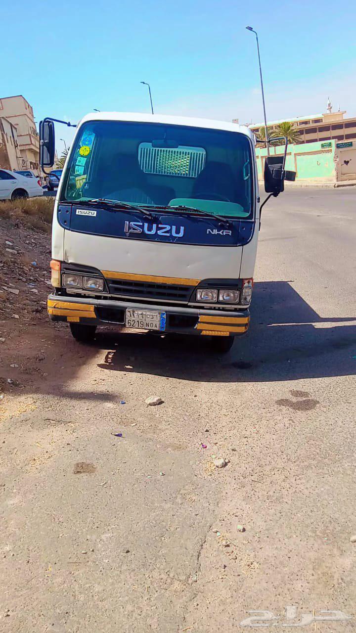 داينا قلاب...64247279562882113