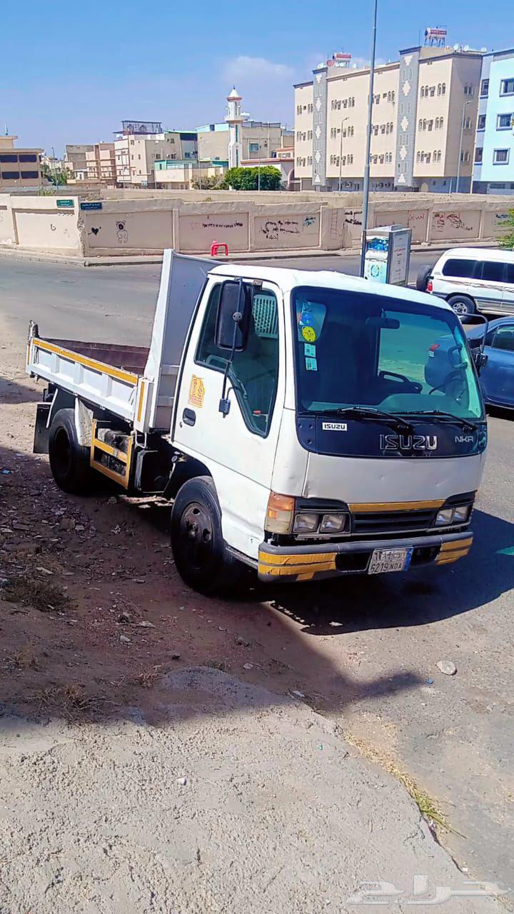 داينا قلاب...64247279562882112