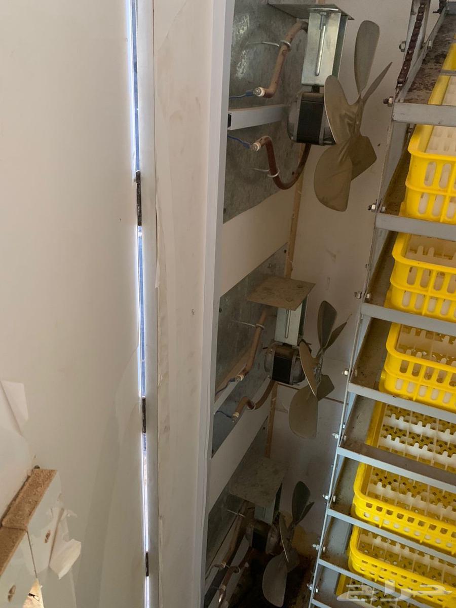 Semi-new incubator for sale, manufactured by Al-Azizia, specifications: full automatic63974783164162113