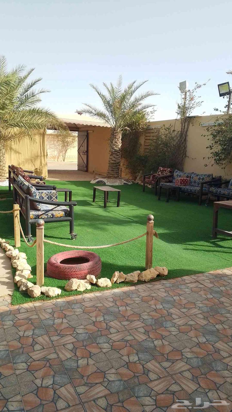 استراحة قسمين إيجار سنوي ويومي شرق الرياض63614096624899112
