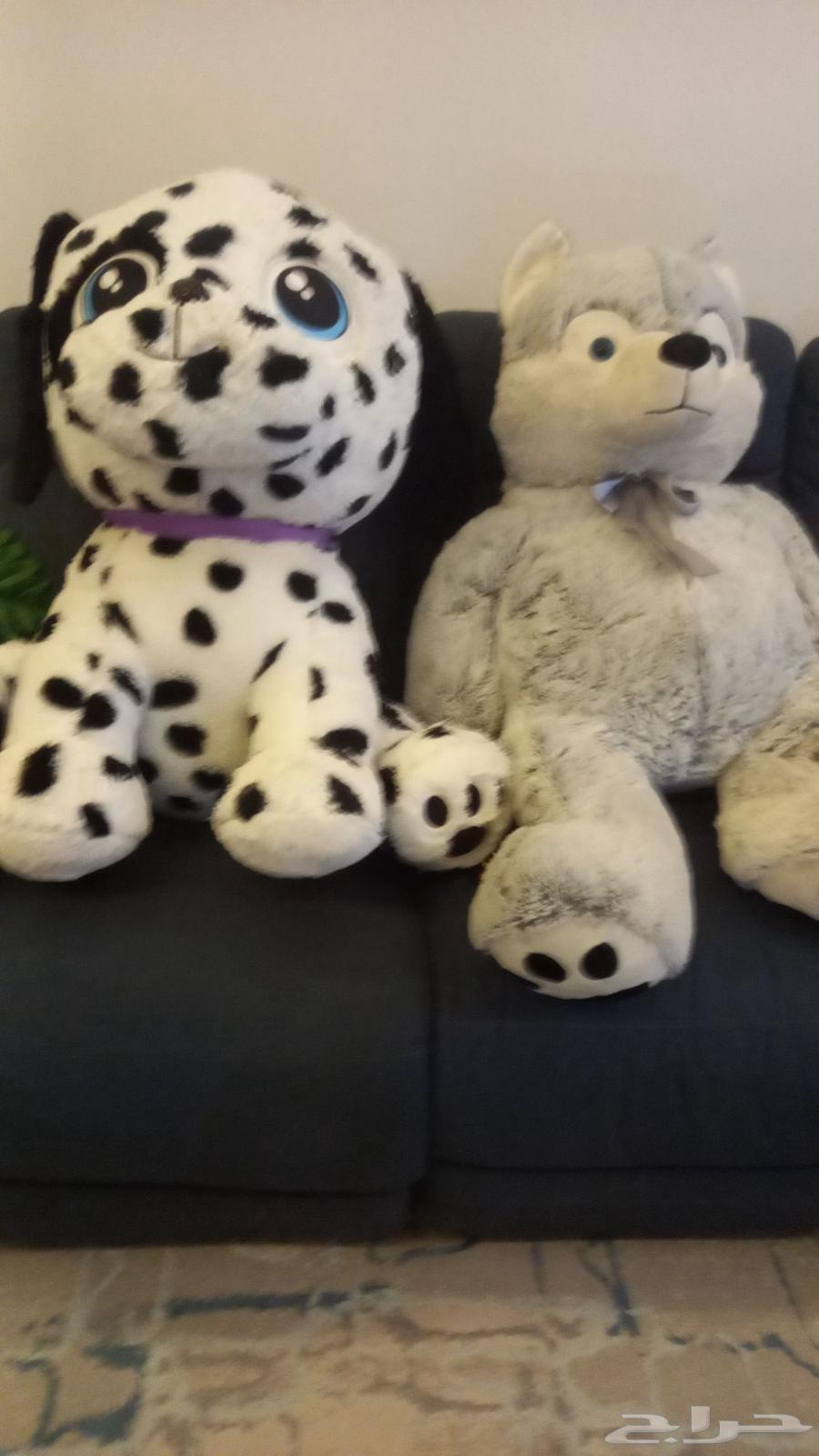 دباديب للبيع كبيرة الحجم64402105954305112