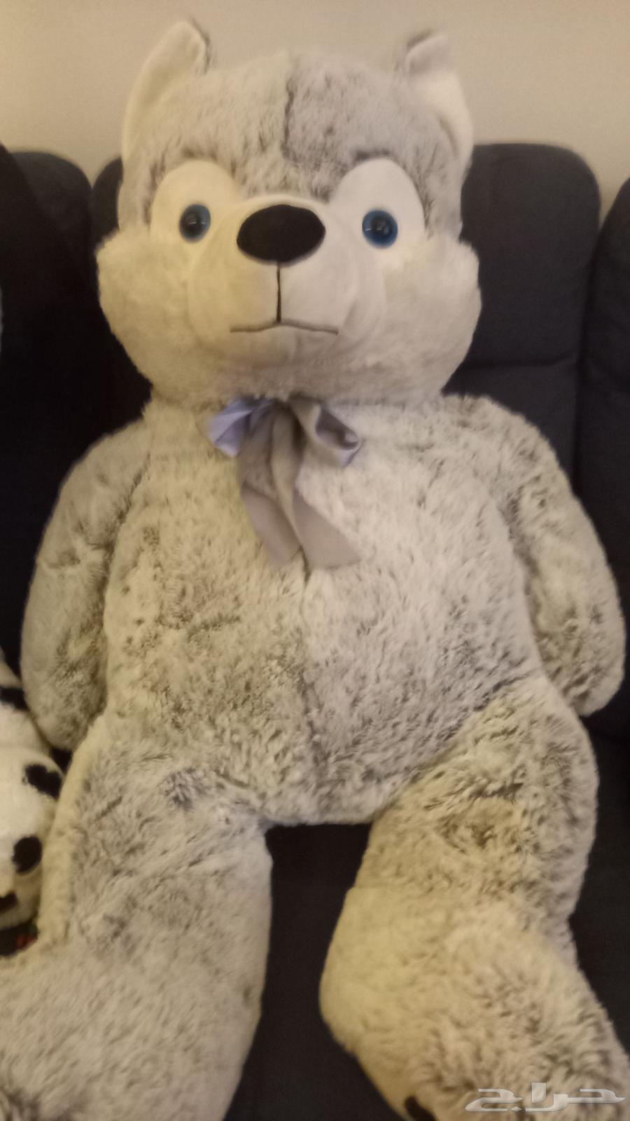 دباديب للبيع كبيرة الحجم64402105954305111