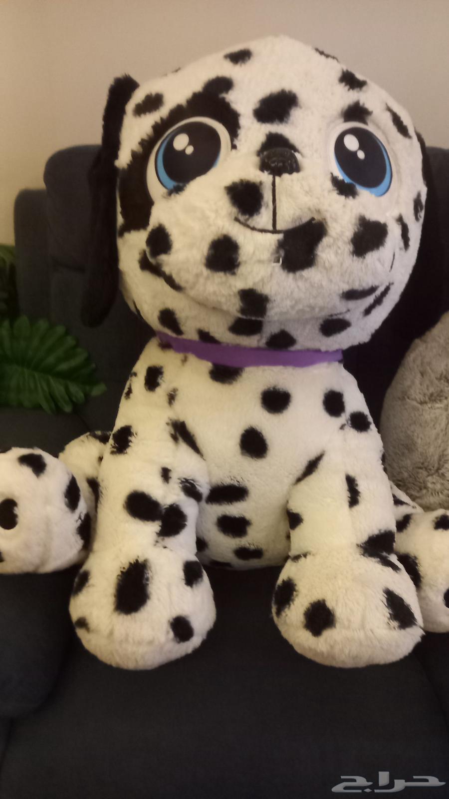 دباديب للبيع كبيرة الحجم64402105954305110